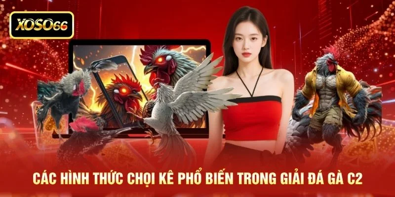 Các hình thức chọi kê phổ biến trong giải đá gà C2 Các hình thức chọi kê phổ biến trong giải đá gà C2