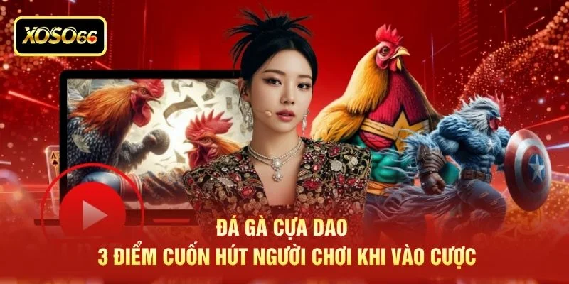 Đá Gà Cựa Dao - 3 Điểm Cuốn Hút Người Chơi Khi Vào Cược