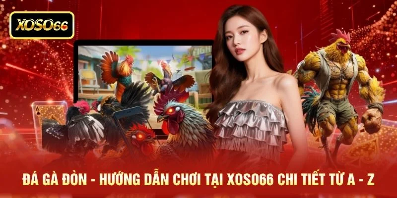 Đá Gà Đòn - Hướng Dẫn Chơi Tại XOSO66 Chi Tiết Từ A - Z