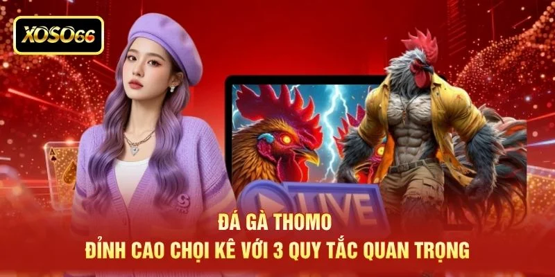 Đá Gà Thomo - Đỉnh Cao Chọi Kê Với 3 Quy Tắc Quan Trọng