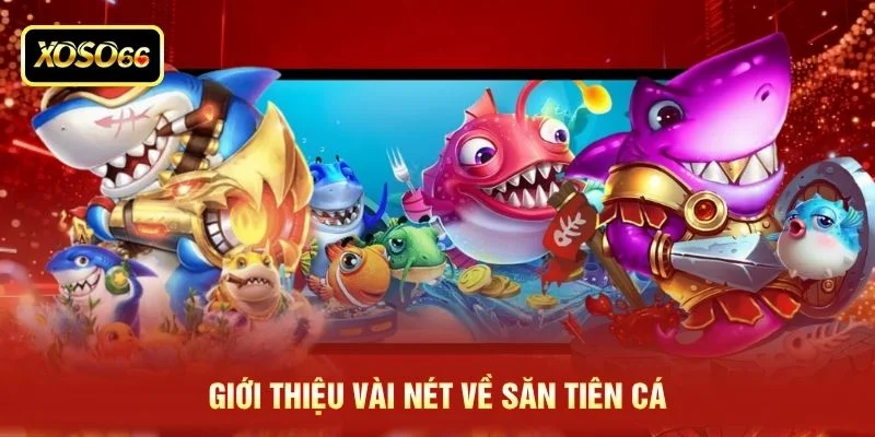 Giới thiệu vài nét về săn tiên cá