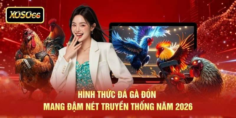 Hình thức đá gà đòn mang đậm nét truyền thống năm 2026 Hình thức đá gà đòn mang đậm nét truyền thống năm 2026