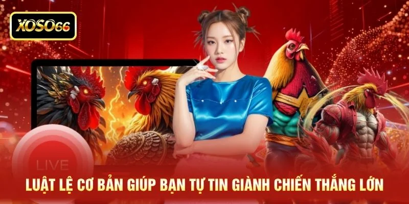 Luật lệ cơ bản giúp bạn tự tin giành chiến thắng lớn Luật lệ cơ bản giúp bạn tự tin giành chiến thắng lớn