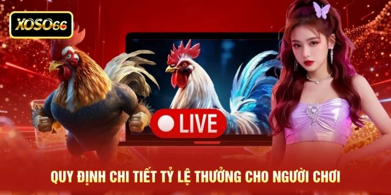 Quy định chi tiết tỷ lệ thưởng cho người chơi