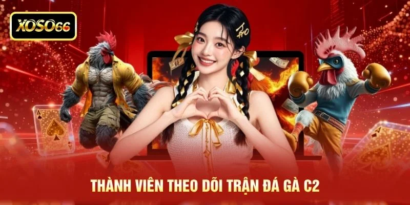 Thành viên theo dõi trận đá gà C2 Thành viên theo dõi trận đá gà C2