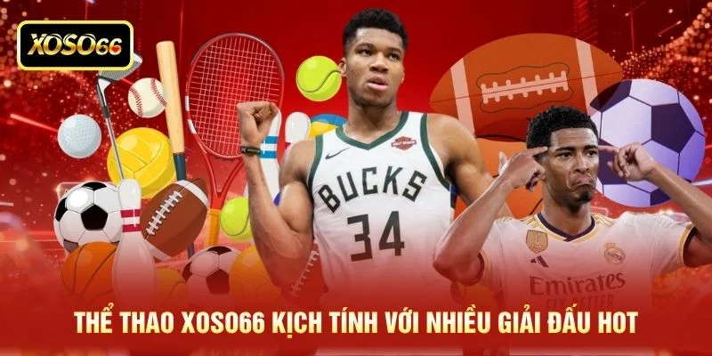 Thể thao XOSO66 kịch tính với nhiều giải đấu hot Thể thao XOSO66 kịch tính với nhiều giải đấu hot