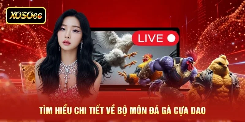 Tìm hiểu chi tiết về bộ môn đá gà cựa dao Tìm hiểu chi tiết về bộ môn đá gà cựa dao