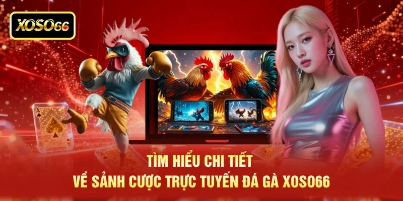 Tìm hiểu chi tiết về sảnh cược trực tuyến đá gà XOSO66