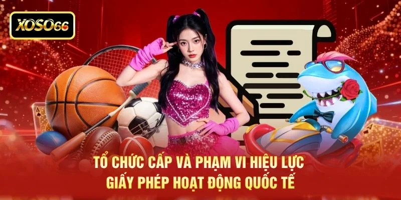 Tổ chức cấp và phạm vi hiệu lực giấy phép hoạt động quốc tế Tổ chức cấp và phạm vi hiệu lực giấy phép hoạt động quốc tế